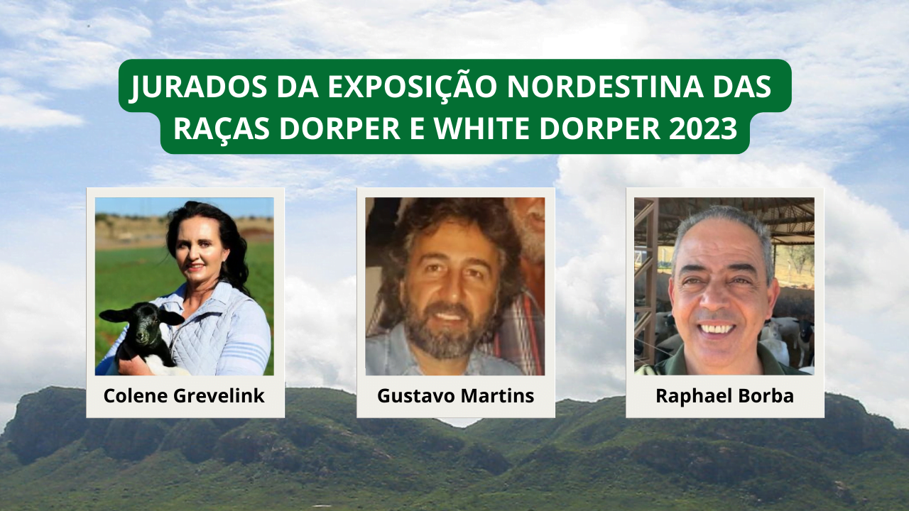 Conheça os jurados da Exposição Nordestina das Raças Dorper e White Dorper 2023