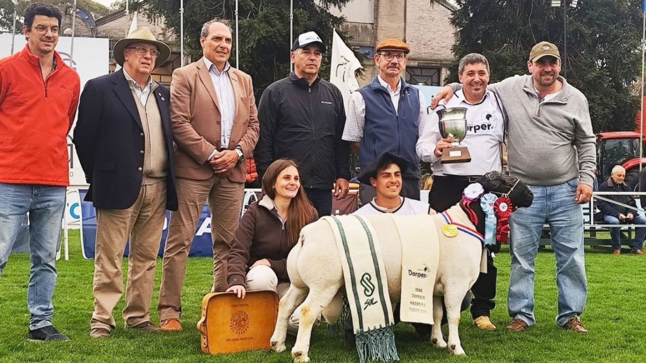 Membro da diretoria da ABCDorper marca presença em exposição das raças no Uruguai