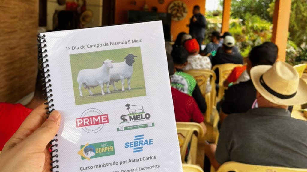 Dia de Campo fortalece a criação de Dorper e White Dorper no Sertão pernambucano (1)