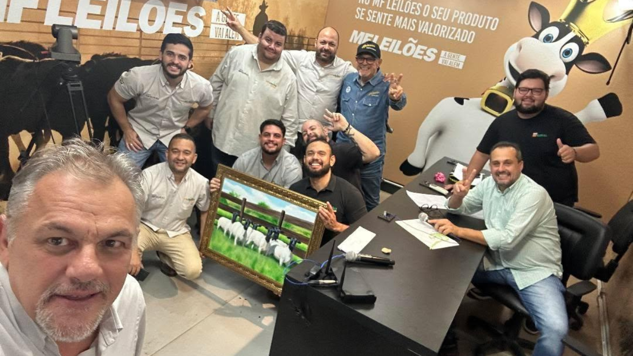 Dorper bate novo recorde nacional em leilão e reforça valorização da raça no Brasil